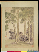 明项圣谟写生　册　青桐,绘画,树木,花草