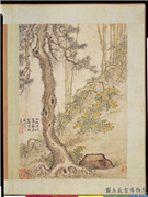 明项圣谟写生　册　松菊,绘画,树木,花草