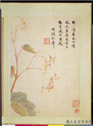 明项圣谟写生　册　秋海棠,绘画,花草