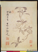 明项圣谟写生　册　山茶,绘画,花草
