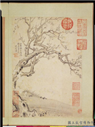 明项圣谟写生　册　梅花,绘画,花草