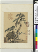 明邵弥画山水　册　松石修篁,绘画,树木,山水,花草