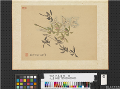 明马守真画册　册　兰卉,绘画,花草