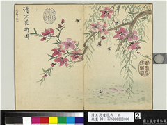 清王武画花卉　册　清江花柳,绘画,花草,树木,草虫