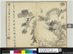 清王武画花卉　册　石边罂粟,绘画,花草,山水