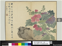 清王武画花卉　册　拳石蜀葵,绘画,山水,花草