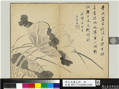 清王武画花卉　册　荷花,绘画,花草