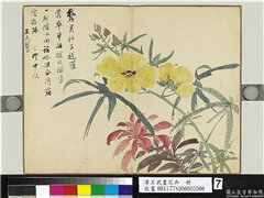 清王武画花卉　册　秋葵,绘画,花草