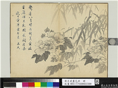 清王武画花卉　册　竹下木芙蓉,绘画,花草,树木