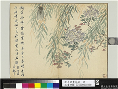 清王武画花卉　册　秋柳栖蝉,绘画,树木,花草,草虫