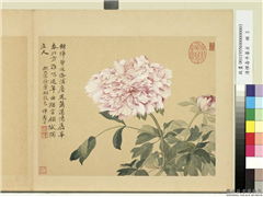 清恽寿平摹古　册　牡丹,绘画,花草