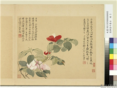 清恽寿平摹古　册　山茶,绘画,花草