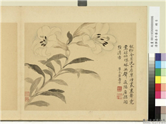 清恽寿平摹古　册　百合,绘画,花草