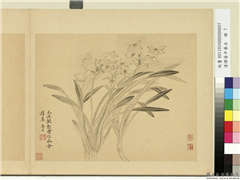 清恽寿平摹古　册　水仙,绘画,花草