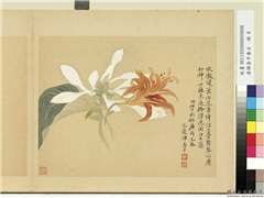 清恽寿平摹古　册　玉簪萱花,绘画,花草