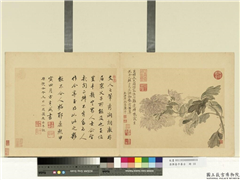 清恽寿平摹古　册　菊花,绘画,花草