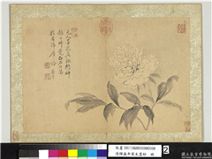 清恽寿平写生墨妙　册　牡丹,绘画,花草