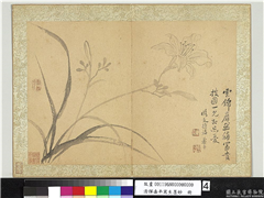 清恽寿平写生墨妙　册　萱花,绘画,花草