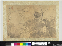 清恽寿平写生墨妙　册　荷花,绘画,花草