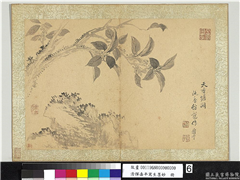 清恽寿平写生墨妙　册　天香蟾阙,绘画,花草,山水
