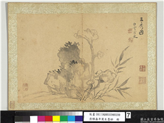 清恽寿平写生墨妙　册　三秀图,绘画,山水,花草,树木