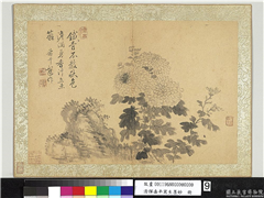 清恽寿平写生墨妙　册　菊花,绘画,花草,山水