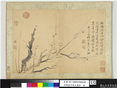 清恽寿平写生墨妙　册　梅花,绘画,花草