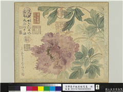 清恽寿平瓯香馆写意　册　牡丹,绘画,花草