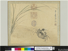 清恽寿平瓯香馆写意　册　芦蟹,绘画,水中动植物,花草