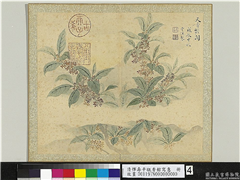 清恽寿平瓯香馆写意　册　桂月,绘画,花草,山水