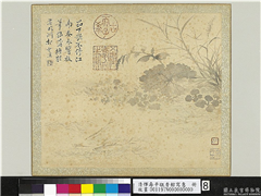 清恽寿平瓯香馆写意　册　荷塘鱼藻,绘画,山水,水中动植物,花草