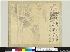 清恽寿平瓯香馆写意　册　雨中蕉,绘画,树木,山水
