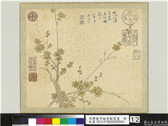 清恽寿平瓯香馆写意　册　蜡梅,绘画,花草