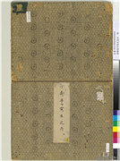 清恽寿平写生花卉　册,绘画,