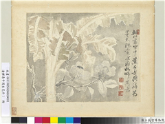 清恽寿平写生花卉　册　雪中蕉,绘画,山水,树木,花草