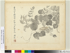 清恽寿平写生花卉　册　促织夹荳,绘画,花草,草虫