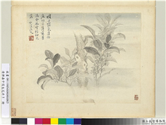 清恽寿平写生花卉　册　枝上霜气,绘画,花草,山水