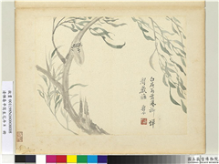 清恽寿平写生花卉　册　风柳蝉声,绘画,树木,草虫