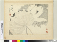 清恽寿平写生花卉　册　洛浦仙裳,绘画,花草