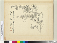 清恽寿平写生花卉　册　山桃,绘画,花草