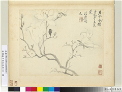 清恽寿平写生花卉　册　玉芙蓉,绘画,花草