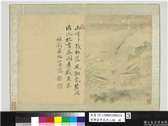清恽寿平花卉八帧　册　橅刘寀琳池鱼藻,绘画,花草,水中动植物