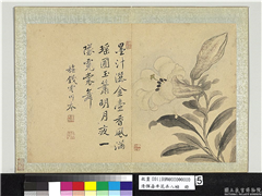清恽寿平花卉八帧　册　橅钱霅川本,绘画,花草