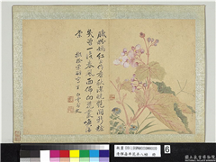 清恽寿平花卉八帧　册　拟徐崇嗣写生,绘画,花草