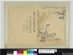 清恽寿平花卉八帧　册　橅白石翁秋塘双浴图,绘画,翎毛,山水,树木,花草