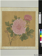 清恽寿平牡丹　册　牡丹（一）,绘画,花草