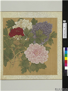 清恽寿平牡丹　册　牡丹（二）,绘画,花草