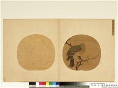 宋元集绘　册　五代唐希雅古木锦鸠,绘画,翎毛,树木
