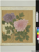 清恽寿平牡丹　册　牡丹（七）,绘画,花草