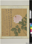 清恽寿平牡丹　册　牡丹（八）,绘画,花草